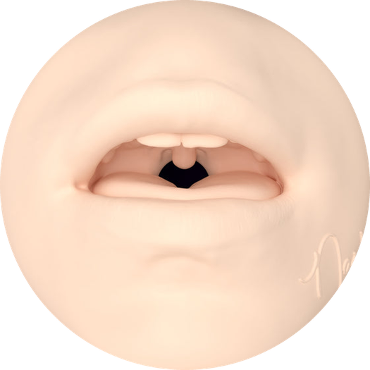 Nash - Orificiu Masturbator